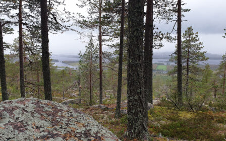 Maisema avautuu korkealta Aavaksanvaaran laelta alas Tornionjokilaaksoon