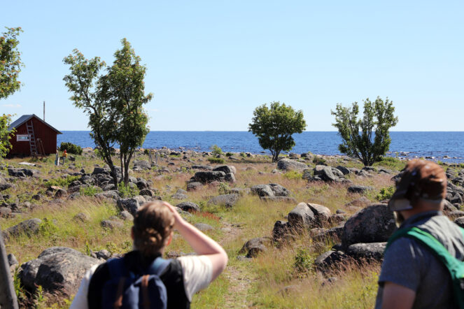 Taustalla meri, etualalla kaksi ihmistä katselemassa merelle