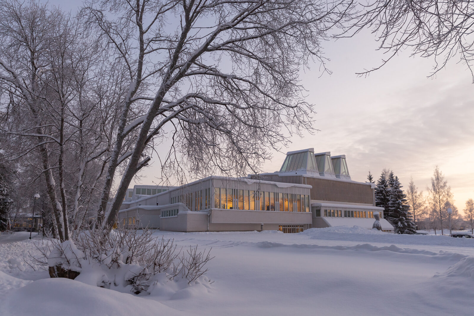 Aine Art Museum