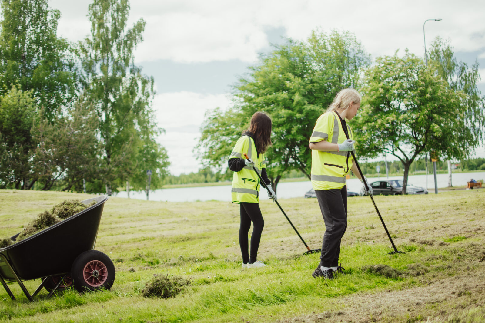 Kaksi henkilöä haravoimassa nurmikkoa.