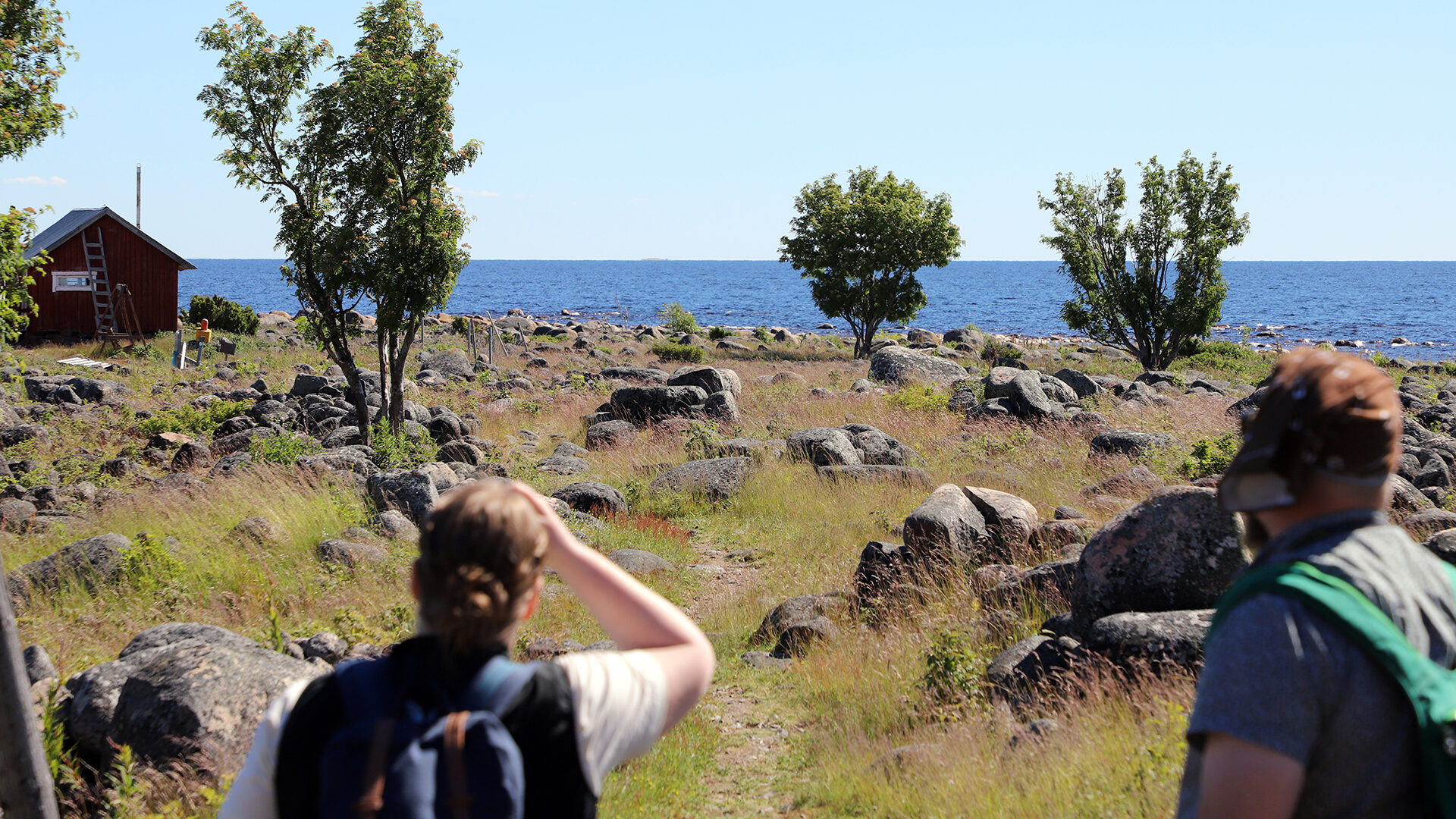 Taustalla meri, etualalla kaksi ihmistä katselemassa merelle