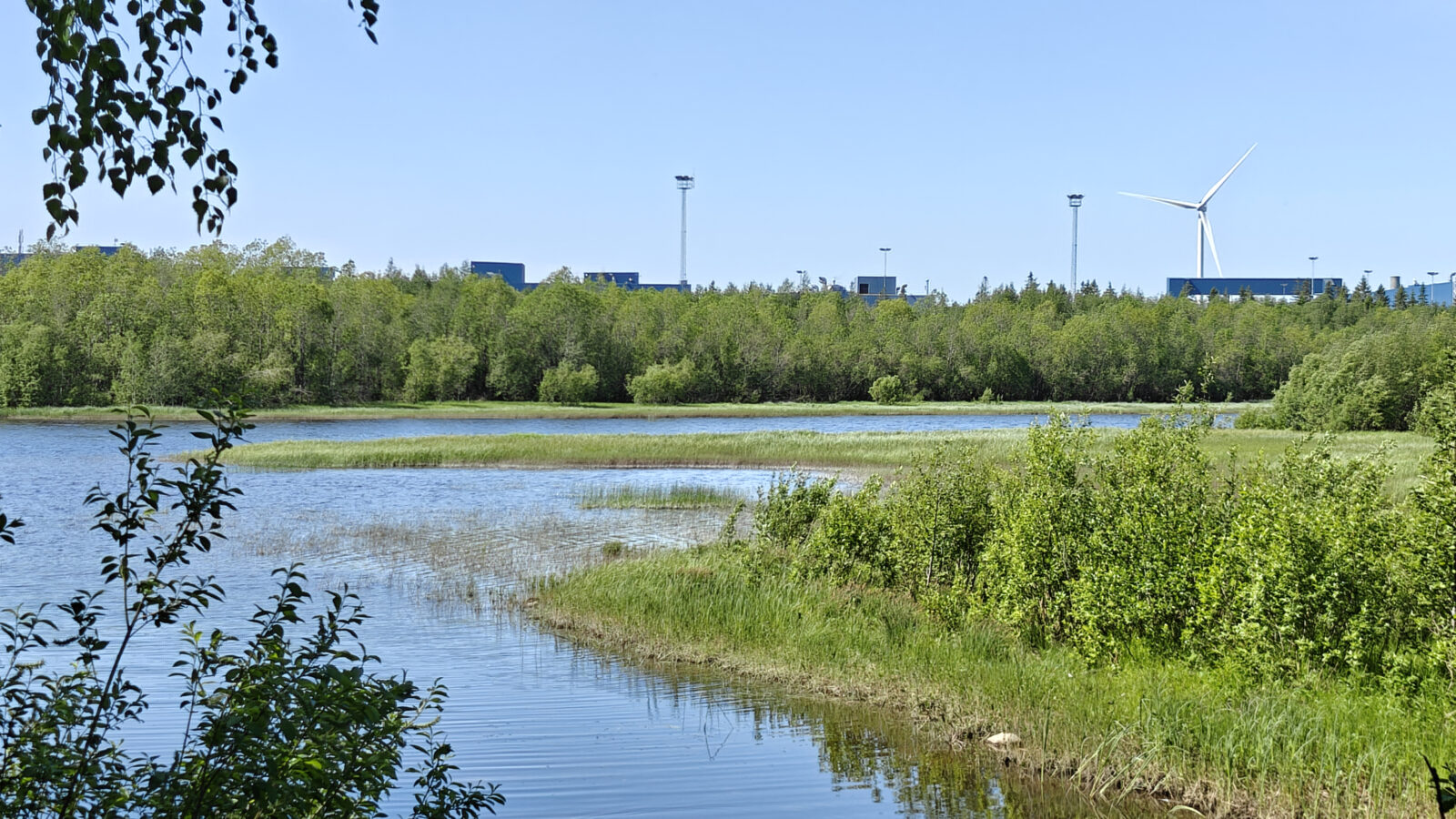 Koivuluodon asemakaava nähtäville – uusi karttakysely kutsuu asukkaita osallistumaan